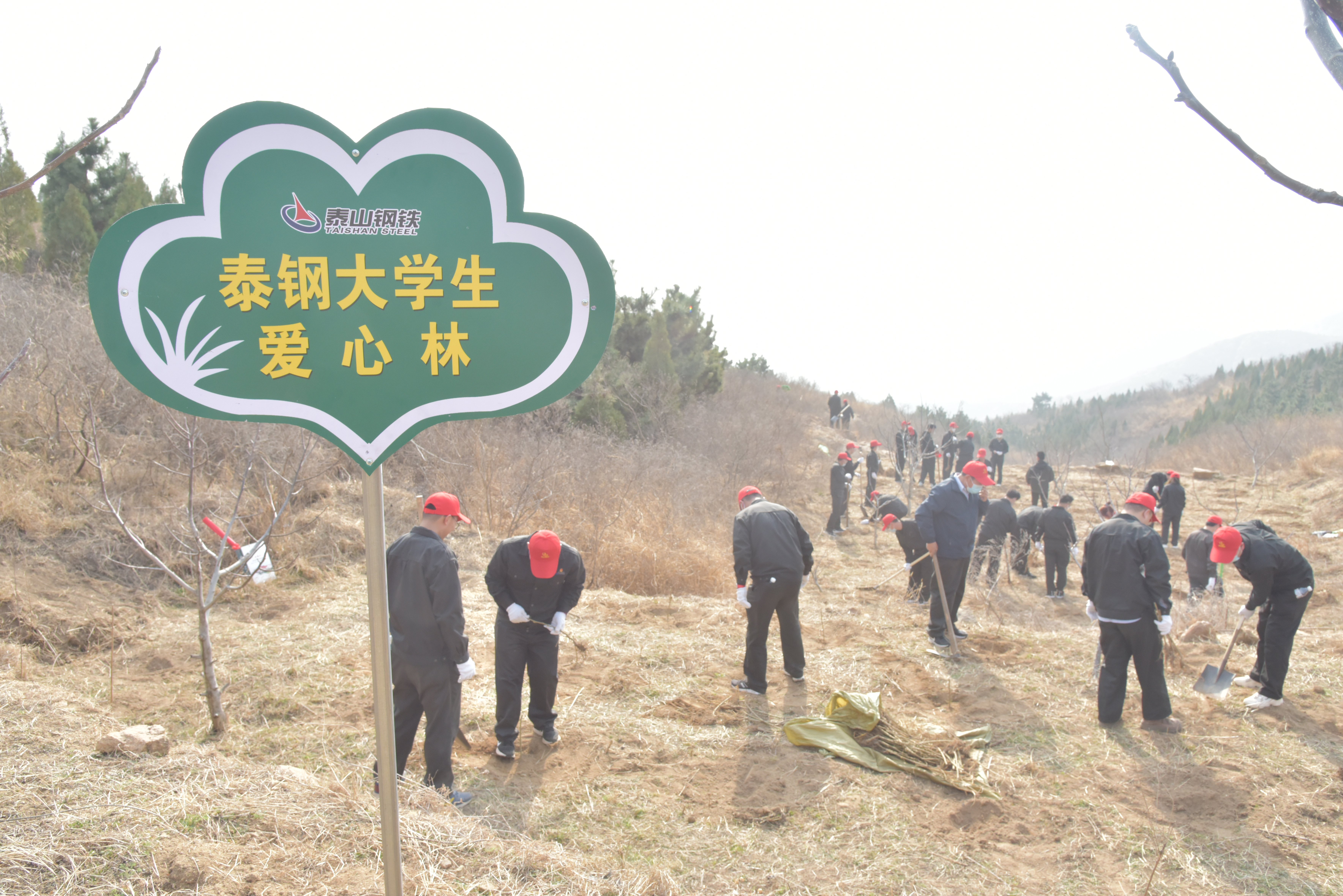 英超（中国）大学生植爱心林